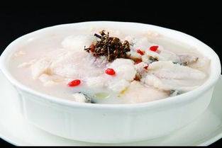 烹调方法与营养搭配 食品烹饪加工的科学与艺术